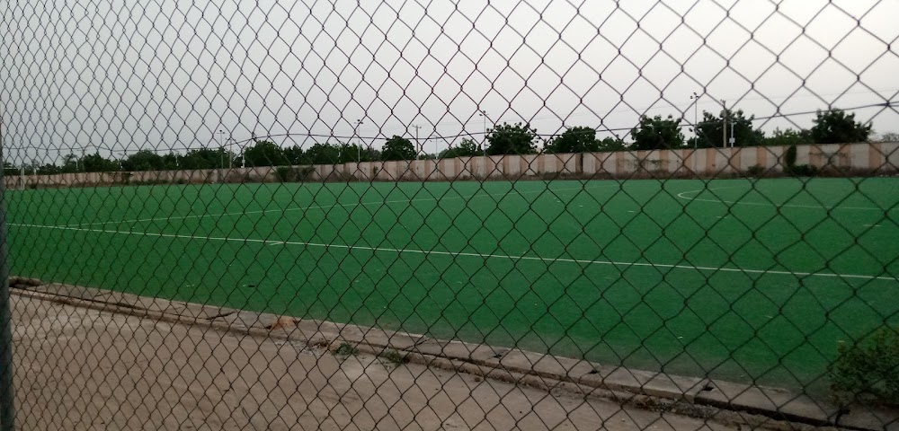 Table Tennis Court